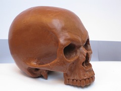 skull04