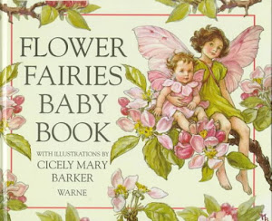 Flower Fairies Baby Book