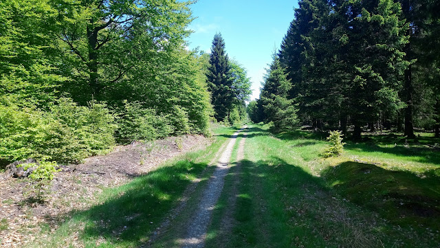 Sauerland wandern Wetter blog Bericht Hollenmarsch 2019 101km Bad Berleburg Schmallenberg Rothaarsteig X6 Robert-Kolb-Weg