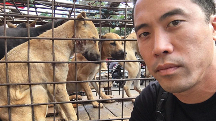 This Man Just Saved 1,000 Dogs From Being Slaughtered At The Yulin Meat Festival