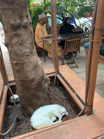 Links im Hintergrund Farouk, rechts Leluu. Im Vordergrund natürlich eine Katze. Schliesslich ist der Kiponda Lukmaan das erste "cat friendly restaurant" in Sansibar