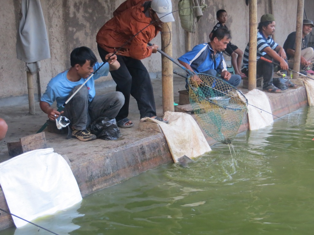 Gambar Animasi Lucu Orang Mancing Kolektor Lucu