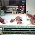 Big Brother Africa [The Chase] The Heat is On.. Bathtub Romance & More (Videos Within)