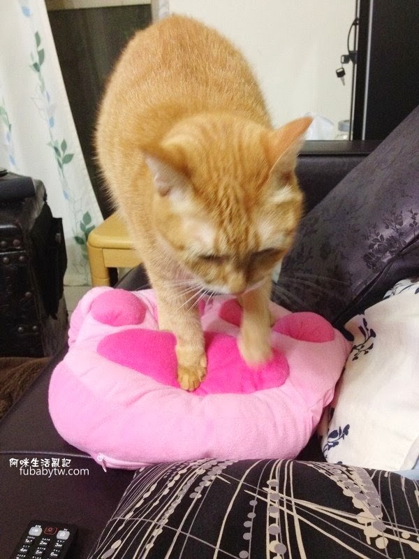 調整大小IMG_1482