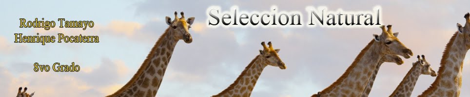 Seleccion Natural