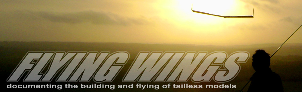 flying wings