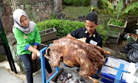 sapi guling ciater subang | 082216503666,sapi guling ciater subang,sapi guling ciater,sapi guling,