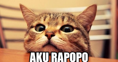 Apa sih Aku Rapopo ? Aku Rapopo Adalah ?