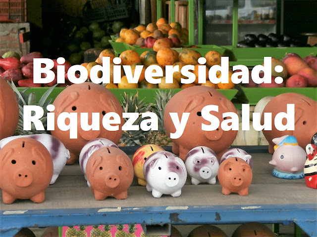 biodiversidad riqueza salud