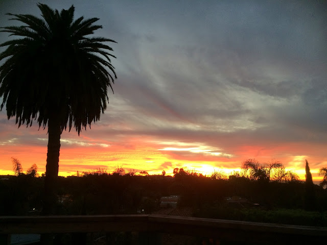 Hawaiian Sunset with palm tree