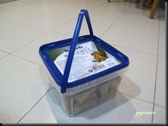 IMG_0199 copy