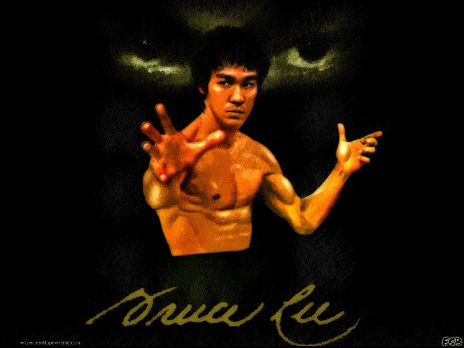 Wallpapers Photo Art: Bruce Lee Wallpapers