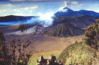 Paket Honeymoon Bromo | Paket Bulanmadu di Bromo 