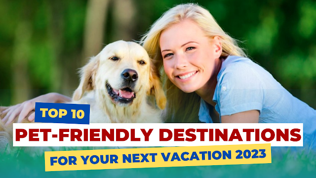 Top 10 Pet-Friendly Destinations for Your Next Vacation
