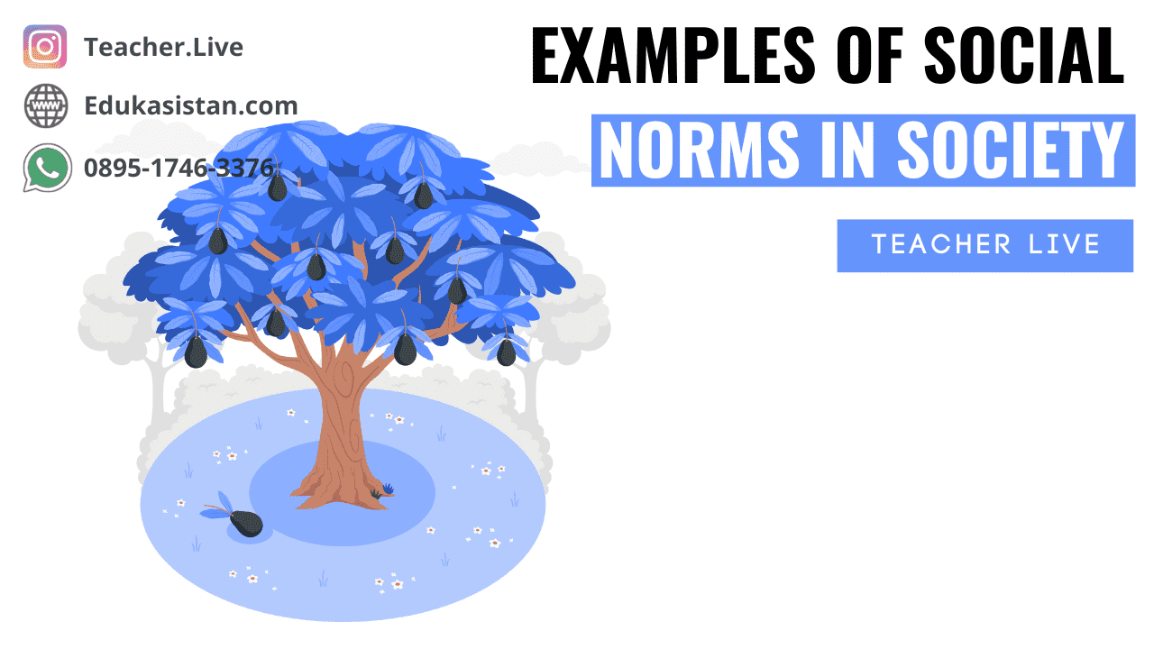 Examples of Social Norms