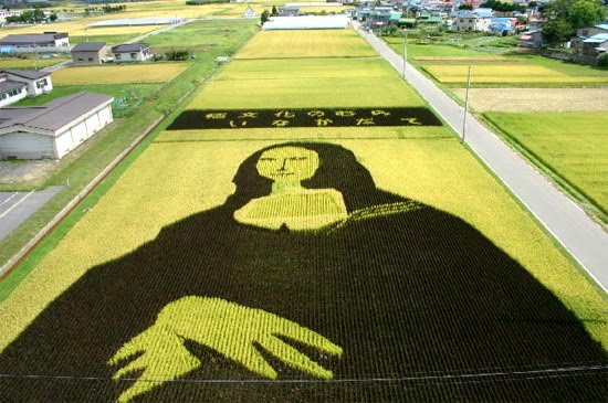 Rice Art in Japan