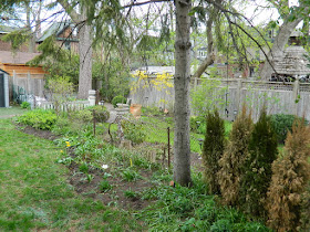 by Paul Jung Gardening Services--a Toronto Gardening Company Riverdale Backyard Garden Spring Cleanup After