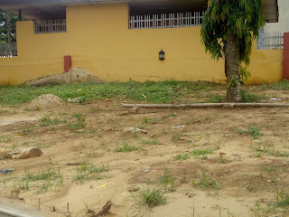 The new UNICAL Main Gate in pictures