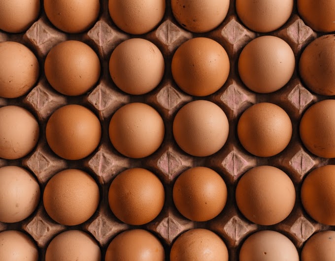 10 Healthy Protein Food. 