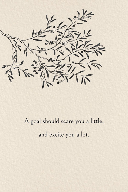 A goal should scare you a little, and excite you a lot.