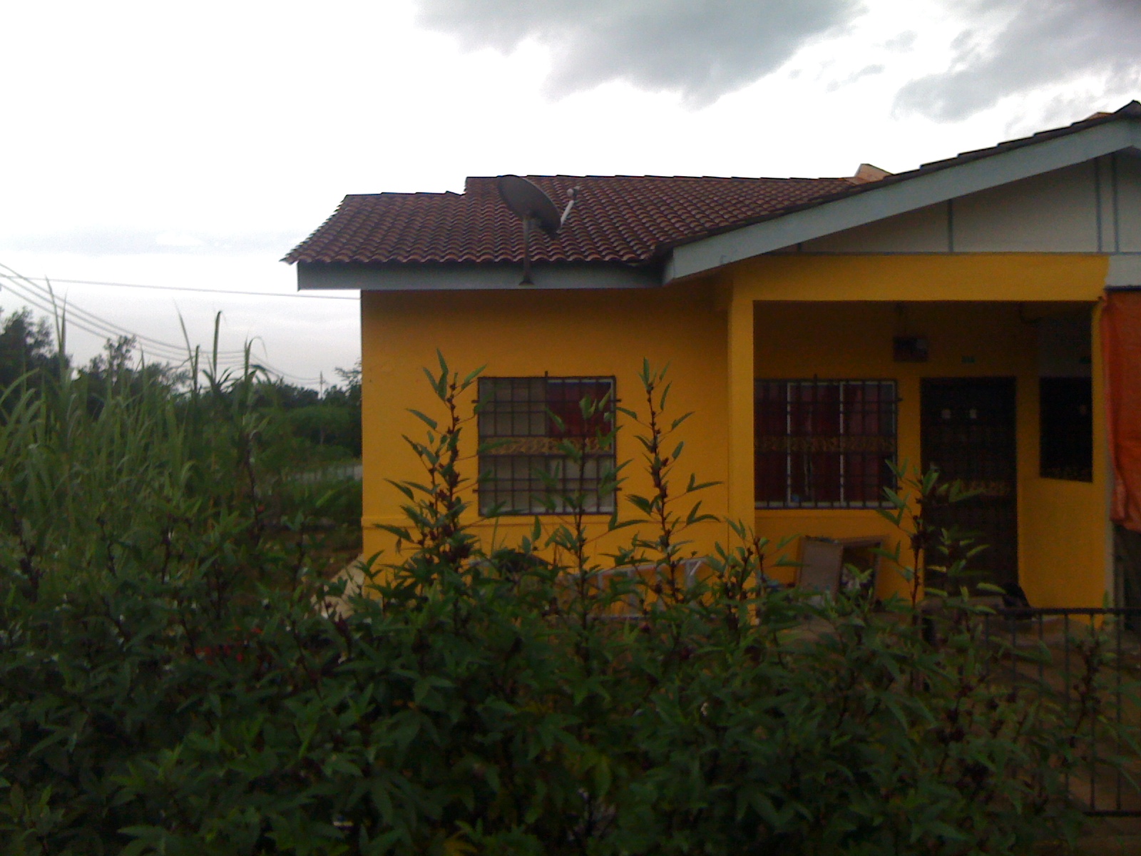 Corner Lot di Seri Iskandar untuk dijual  Jual-jual 