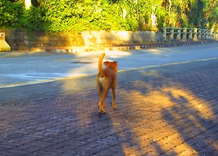 PICT0119