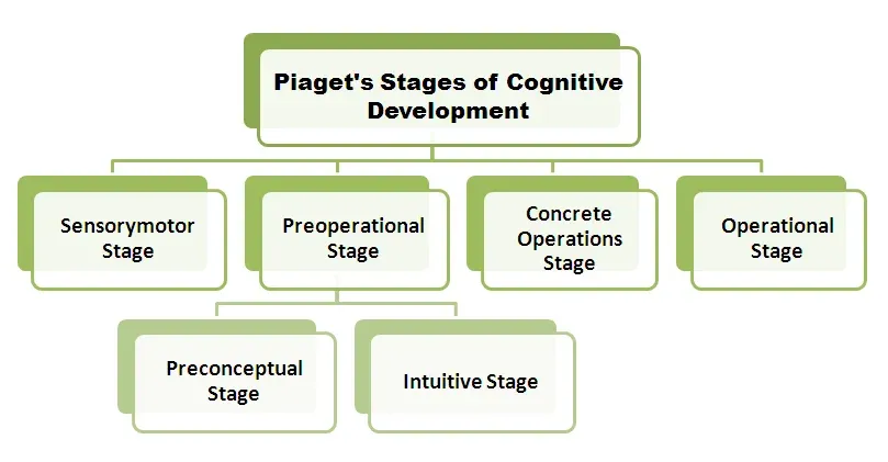 piaget-4-stages-of-cognitive-development