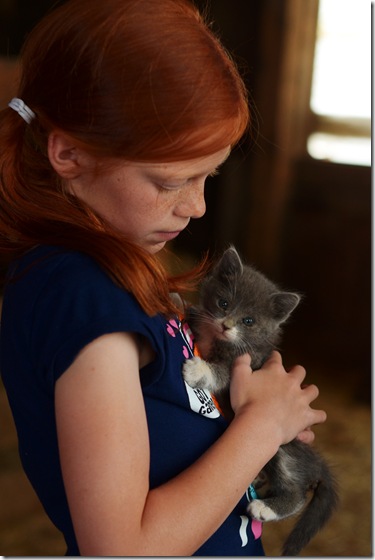 Kitty