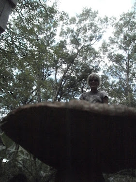 Big mushroom