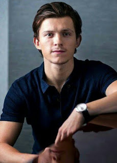 TOM HOLLAND NET WORTH