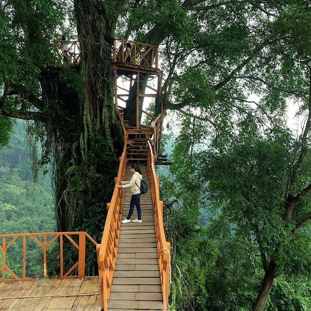 Rumah Pohon Curug Ciherang