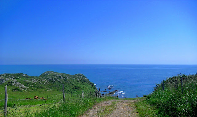 Camino Playas Cabo Oyambre