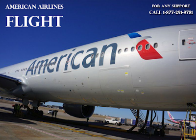 American Airlines Flight