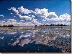 Image(23)