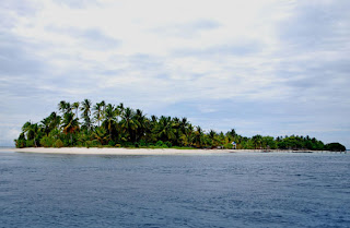 Indahnya Taman Laut di Raja Ampat