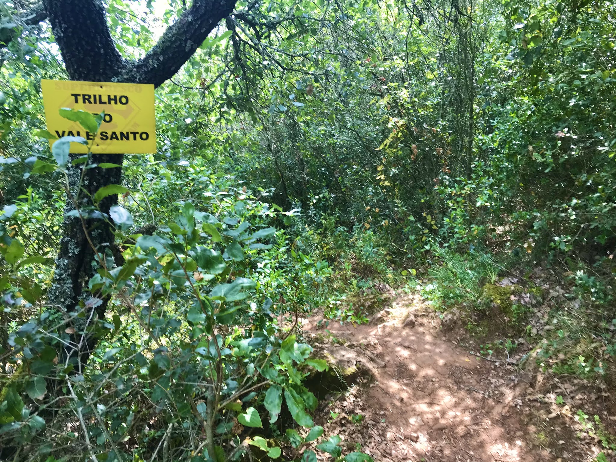 Ribeira de Beselga, Torres Novas, Tomar, Portugal, Trilho da Resistência, Trilho do Vale Santo, Trilho da Fórnea, Trilho Tranquilo, Trilho do SuperFresco, Baloiço do Talegre