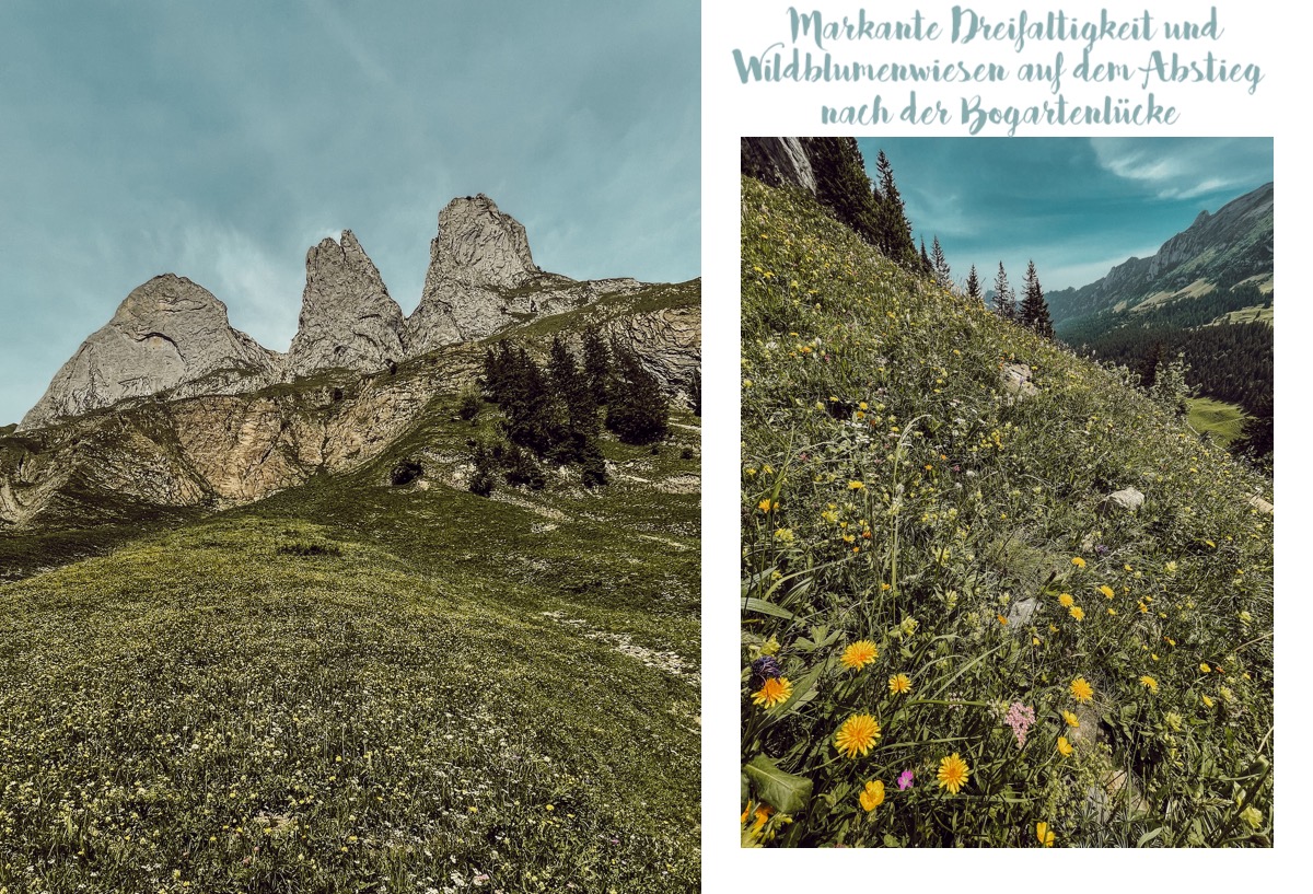 Alpstein Appenzeller Land schönste Wanderung Höhenweg Alp Sigel Bogartenlücke Fälensee Bollenwees Rösti Sämtiser See