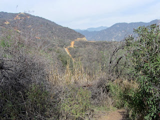 View north from the jungle area on Van Tassel Ridge