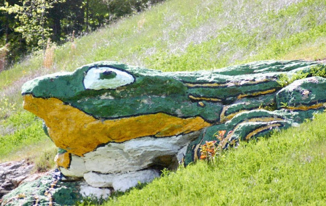 frog rock usa