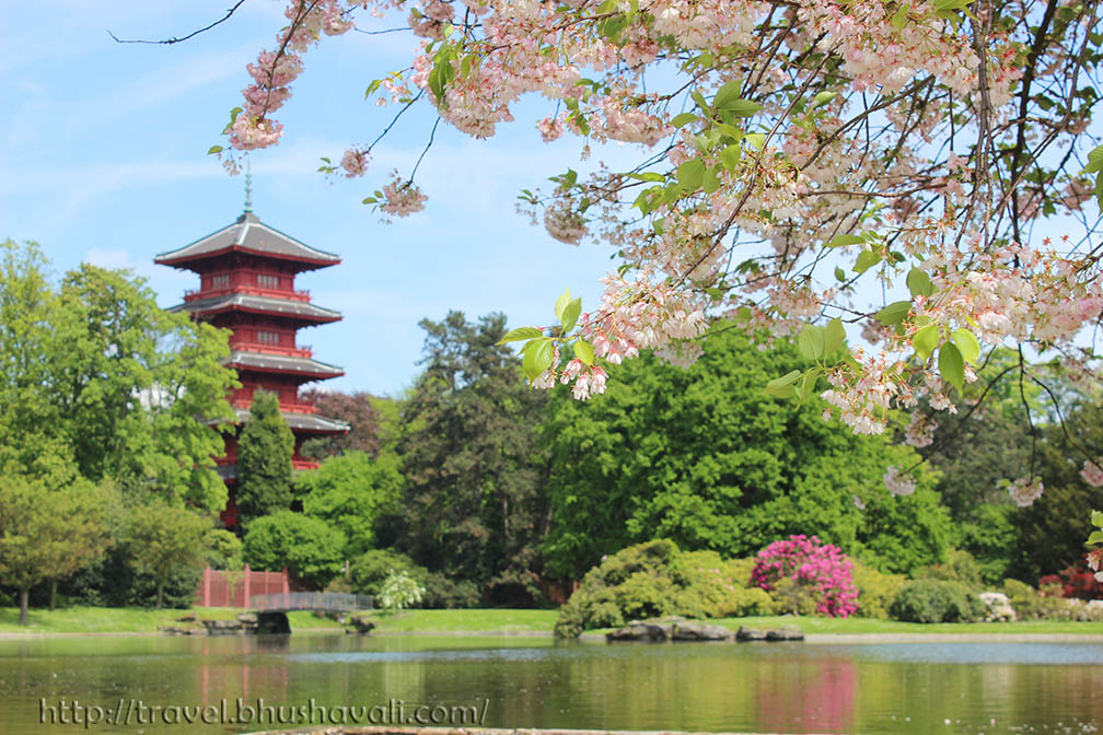 KONINKLIJKE SERRES VAN LAKEN Things to do in Brussels in April