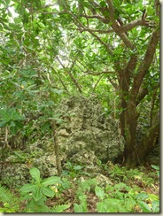 P1010306