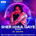 Sher Khul Gaye(Remix)- DJ Quinn