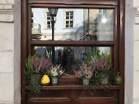 Photo by Sheila Webber window in Krakow