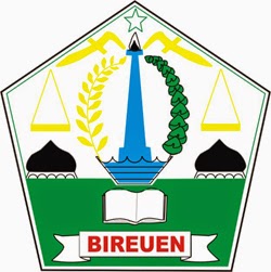 Logo Kabupaten Bireuen