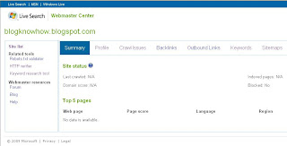 MSN Live Site Summary Page for Blog Know How