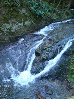 Poiana Ruscai - Nadrag - Cascada