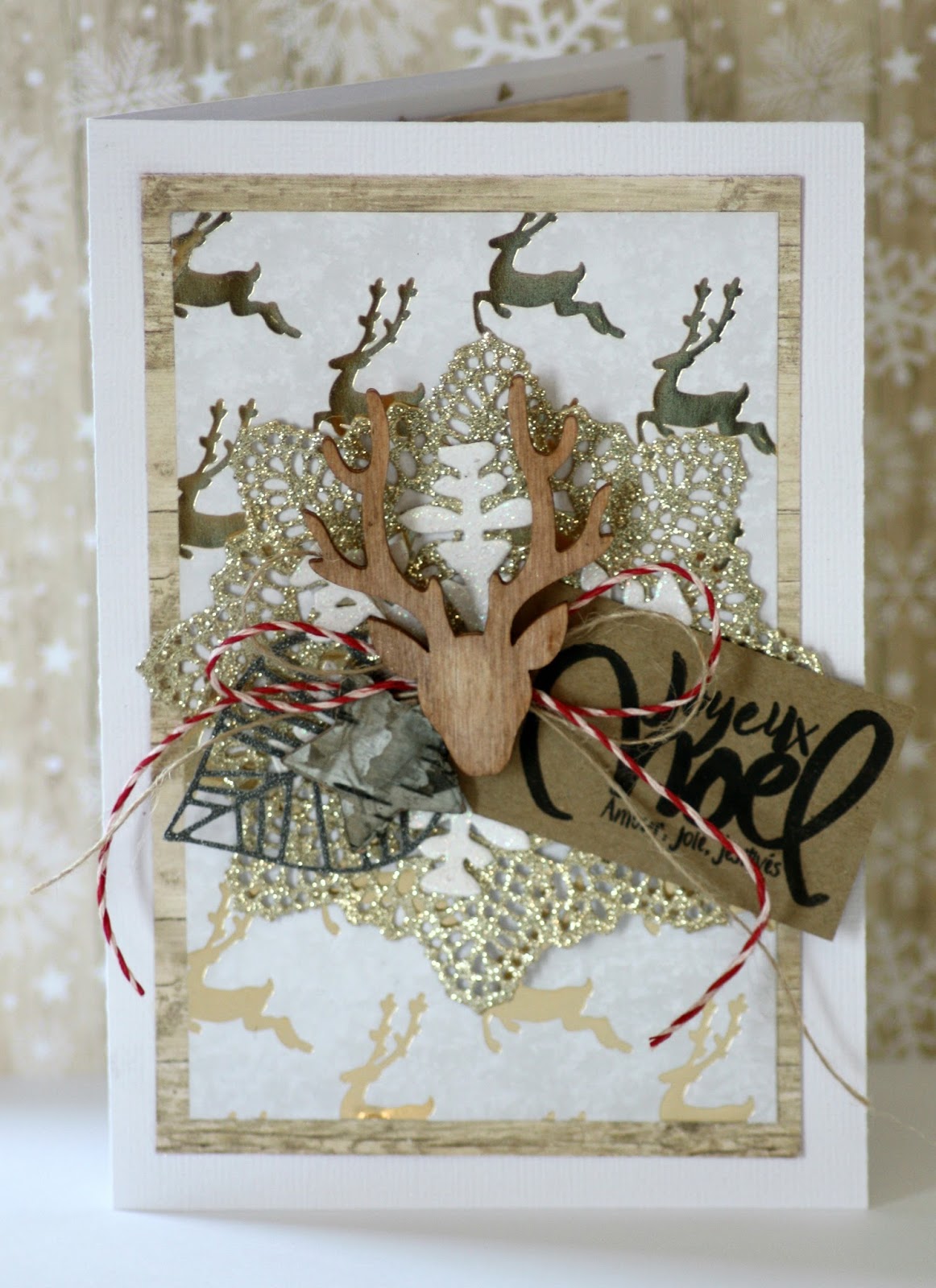 Passion scrap et autres petits plaisirs: Carte de Noël