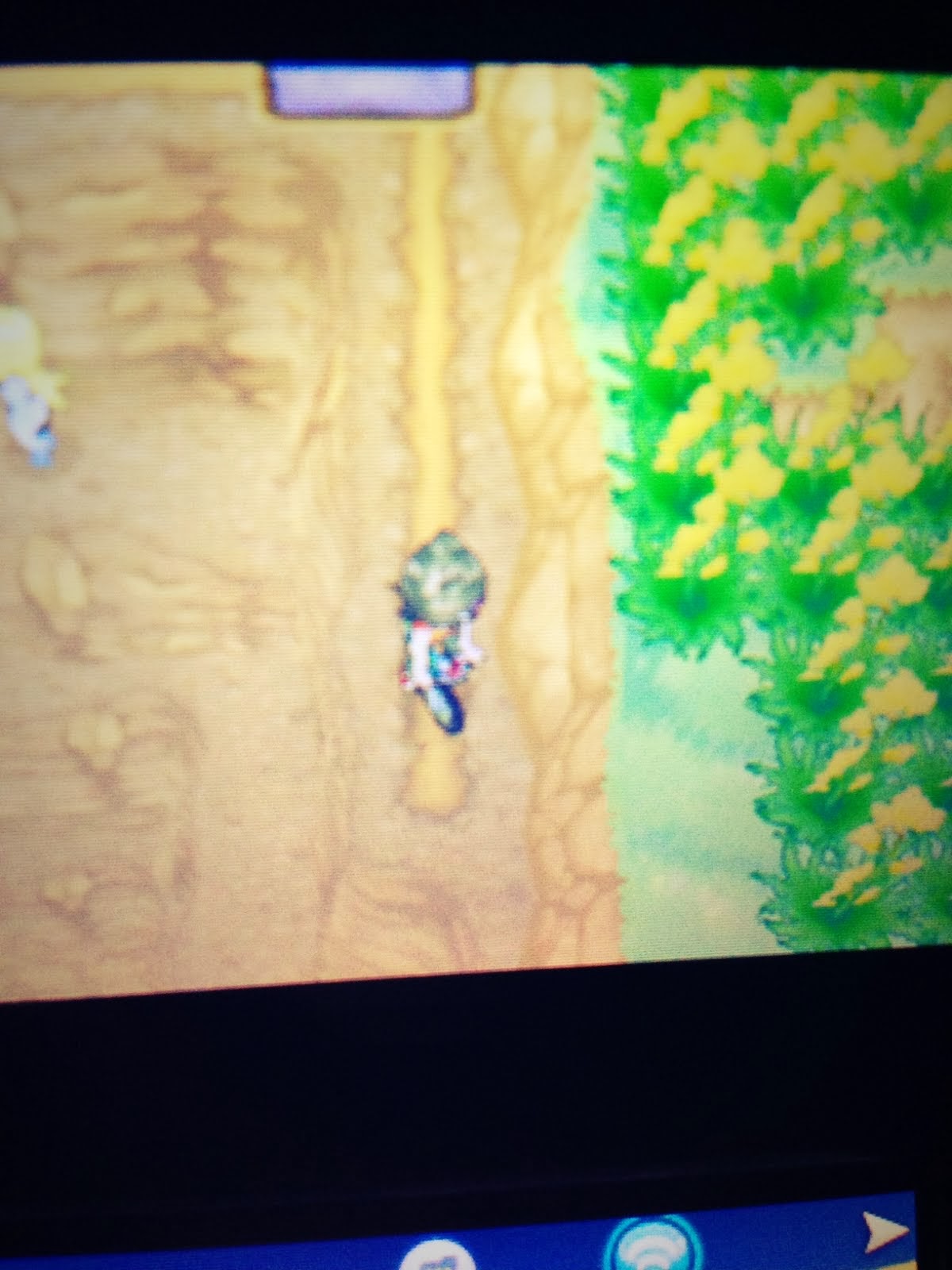 ポケモン サン ムーンの方法のやり方 ポケモンxy みずのいし の場所 ポケモン サン ムーンの方法のやり方 ポケモンxy みずのいし の場所