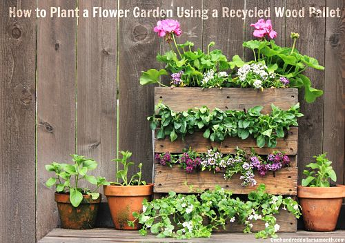 flower planter ideas pictures Wood Pallet Flower Garden | 500 x 352