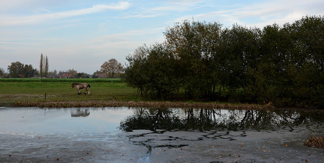 Hof ten Dormaal